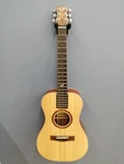 Overhead OF410N Electric Acoustic Guitar. Fixed Price $1071.99.