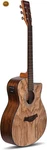 Acoustica Series Electric Guitar - (ash Wood). Fixed Price $152.69.