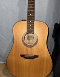 Luna Gypsy Muse Dreadnaught Acoustic Guitar With Gig Bag Picks. Fixed Price $130.00.