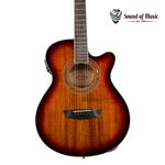 Washburn EA55G-A Festival Acoustic-electric Guitar Koa Burst. Fixed Price $379.99.