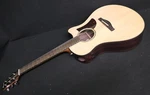 Ibanez AAM380CE Nt Advanced 6 String Acoustic Elect Solid Sitka Top. Fixed Price $1000.00.