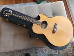 2006 Washburn EA52SWCE Acoustic Electric Guitar. Fixed Price $295.00.