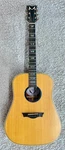 Dean Augustine Elite Dreadnought, A/e, Solid Top, Sa - B Stock. Fixed Price $349.00.