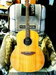 Rare Ltd Ovation Ultra Deluxe 1312S Acoustic Guitar Solid Spruce Top. Fixed Price $599.00.