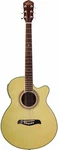 Oscar Schmidt OG10CEFTB-A-U Concert-size Cutaway Acoustic-electric Guitar. Fixed Price $332.21.