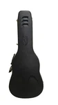 Composite Acoustic Gx Hardshell Guitar Case (made In Usa). Fixed Price $220.00.