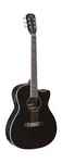 James Neligan 6 String Bes-ace Bk Bessie Series Auditorium Cutaway Acoustic-e.... Fixed Price $443.46.