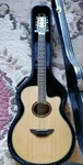 Electric Acoustic Guitar Yamaha APX-700 -12 Nt Natural Strings With Hard Case. Fixed Price $899.00.