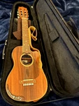 Lanikai Acst-ceg Acacia 6-STRING Acoustic-electric Guitelele Natural. Fixed Price $399.00.