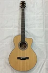 Gold Tone Electric-acoustic Guitar Gbg+. Fixed Price $800.00.