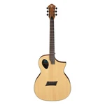 Michael Kelly Forte Port Acoustic Electric Guitar (natural) *usa Small Business*. Fixed Price $379.99.
