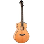 Cort Gold Passion 6-STRING Acoustic Guitar With Case. Fixed Price $1999.99.