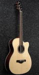 Ibanez ACFS380BTOPS Acoustic Guitar - Open Pore Semi Gloss. Fixed Price $799.99.