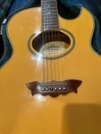 Washburn Millenium EA2000 Am With Hard Shell Orig Case. Fixed Price $500.00.