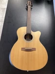 Mitchell Guitars T413CE (SPC022580). Fixed Price $229.99.
