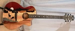Luna Vista Deer Tropical Wood Acoustic-electric Guitar Hard Case. Fixed Price $554.75.