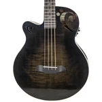 Sawtooth Rudy Sarzo Left-handed Trans Black Flame Acoustic-electric Bass Guitar. Fixed Price $899.98.