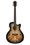Washburn Deep Forest Burl Ace Acoustic Guitar - Black Fade. Fixed Price $349.00.