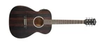 Washburn 6 String Acoustic Guitar, Right (dfefe). Fixed Price $417.25.