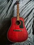 Washburn Guitar D10WR Electric Acoustic With Soft Case. Fixed Price $150.00.
