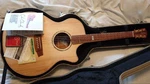 Rare Mint Cole Clark CCAN2EC-BB-MJ. Fixed Price $2473.00.