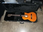 Hohner Hag 21 Professional Level Thin Solid Body Classical-electric Guitar /case. Fixed Price $1450.00.