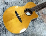 Yamaha APX5NA (T0000). Fixed Price $350.00.