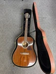 Guild GAD-25NAT Acoustic Electric Guitar W/ Hard Case (E14002308). Fixed Price $299.99.