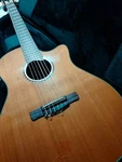 Elegat Fender Hc GN-45SCE Tube Mr. Haruhata. Fixed Price $905.24.