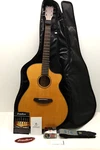 Breedlove Discovery Concerto Acoustic Electric Guitar W/ Bag. Fixed Price $254.19.