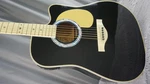 Esteban VL-100 Black Acoustic Guitar. Fixed Price $189.00.