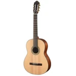 Walden N550E - Acoustic Guitar. Fixed Price $469.00.