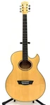 Washburn Festival Mini-jumbo Electric Acoustic Guitar EA20-A. Fixed Price $449.00.