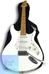 Behringer IAXE393 Electric Guitar. Fixed Price $263.71.