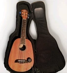 Oscar Schmidt By Washburn OU-2P Aloha Pineapple Ukulele With Deluxe Case & Strap. Fixed Price $51.00.