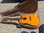Esteban " Coral Sun Acoustic /electric Guitar With Plush Form Fitted Case. Fixed Price $119.00.