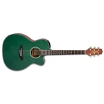 Takamine LTD2025 Acoustic Electric Guitar Gloss Antique Evergreen + Case New. Fixed Price $3199.99.