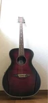 Acoustic Electric Guitar Daisy Rock 6222 Plum Purple Burst Sn 110076268. Fixed Price $640.00.