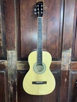 Savannah SGP-12 Parlor Size Steel String Acoustic Guitar. Fixed Price $125.00.