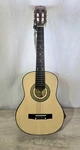 George Washburn Lyon Little Child's Acoustic Guitar Light Damage. Fixed Price $37.00.