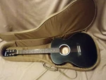 Washburn Dfefe-u Deep Forest Folk Acoustic/electric Guitar Ebony Top W/ Gig Bag. Fixed Price $239.99.