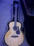 Alvarez ABT60E Acoustic Electric Guitar Sitka Spruce Top With Hard Case New. Fixed Price $550.00.