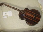 Michael Kelly Dragonfly Fretless Bass Acoustic Electric Guitar Java Ebony. Fixed Price $630.00.