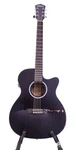 Washburn Deep Forest Ebony Ace Acoustic-electric Guitar Natural Matte. Fixed Price $72.00.