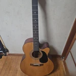 Jasmine Takamine Cutaway Acoustic Guitar Rosewood Fretboard. Fixed Price $493.99.
