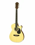 Aria AFN-15CE-N Acoustic Electric Guitar Natural. Fixed Price $274.00.