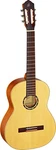 Ortega Guitars R121SN Family Series Slim Neck Nylon 6-STRING W/ Free B.... Fixed Price $289.99.