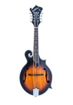 Washburn M3SEBRK F Style Mandolin Brown Burst With Gig Bag. Fixed Price $599.00.