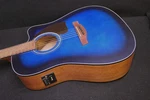 Ibanez PF50CE Obh Performance Series Acoustic Electric Guitar Spruce Top. Fixed Price $139.99.
