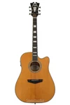 D'angelico Premier Bowery - Vintage Natural. Fixed Price $279.99.